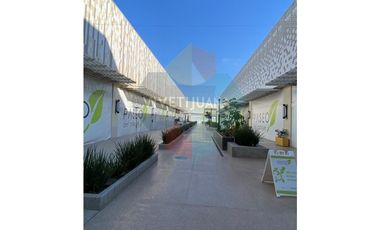 Local comercial Paseo del Parque 490.90 mts