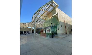 Local comercial Paseo del Parque 490.90 mts