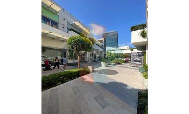 Local comercial Paseo Chapultepec 71 mts