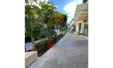 Local comercial Paseo Chapultepec 71 mts