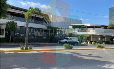 Local comercial Paseo Chapultepec 71 mts