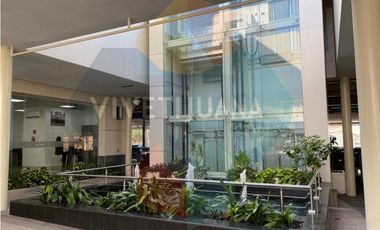 Local comercial Paseo Chapultepec 272.34 mts