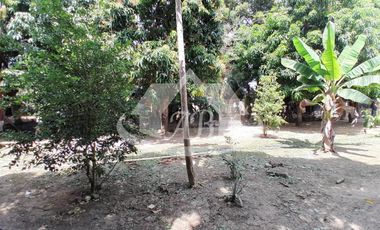 CASA CAMPESTRE EN VENTA SIERRA CHIQUITA |1910