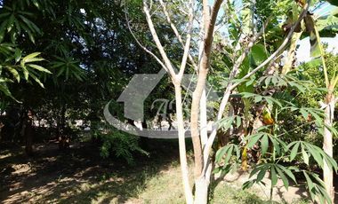 CASA CAMPESTRE EN VENTA SIERRA CHIQUITA |1913