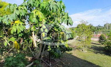 CASA CAMPESTRE EN VENTA SIERRA CHIQUITA |1913