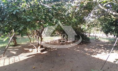 CASA CAMPESTRE EN VENTA SIERRA CHIQUITA |1913