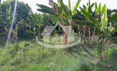 CASA CAMPESTRE EN VENTA SIERRA CHIQUITA |1913