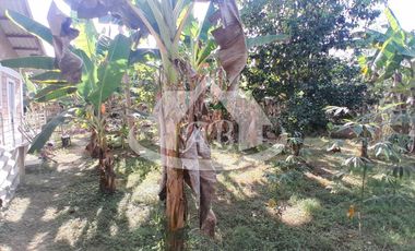 CASA CAMPESTRE EN VENTA SIERRA CHIQUITA |1913