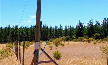 Parcela en Venta en ex-subdelegación Pocillas lote 7