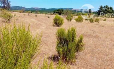 Parcela en Venta en ex-subdelegación Pocillas lote 7