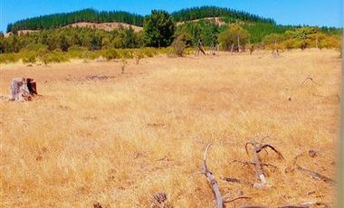 Parcela en Venta en ex-subdelegación Pocillas lote 7