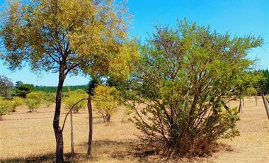 Parcela en Venta en ex-subdelegación Pocillas lote 7