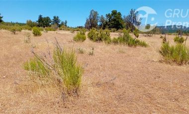 Parcela en Venta en ex-subdelegación Pocillas lote 7