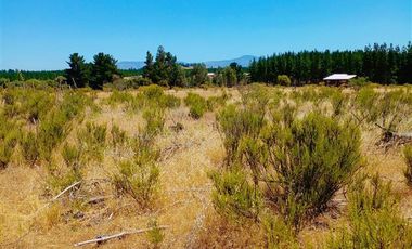 Parcela en Venta en ex-subdelegación Pocillas lote 7