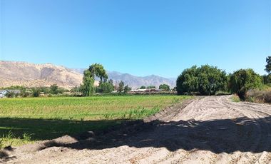 Agrícola en Venta en Luis Cruz Martínez / Camino El Noviciado