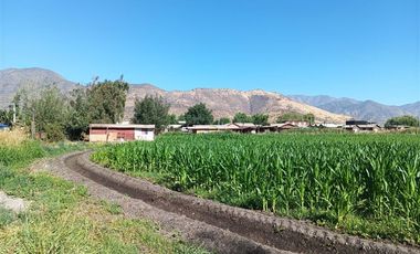 Agrícola en Venta en Luis Cruz Martínez / Camino El Noviciado