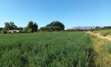 Agrícola en Venta en Luis Cruz Martínez / Camino El Noviciado
