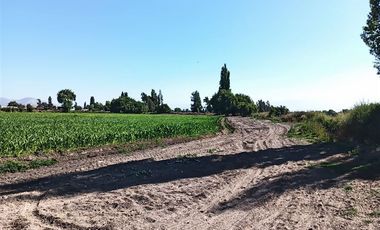 Agrícola en Venta en Luis Cruz Martínez / Camino El Noviciado