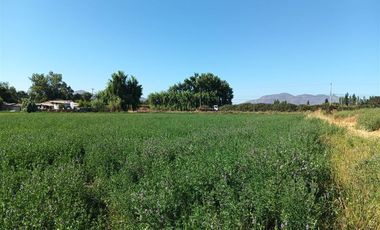 Agrícola en Venta en Luis Cruz Martínez / Camino El Noviciado