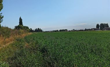 Agrícola en Venta en Luis Cruz Martínez / Camino El Noviciado