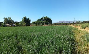 Agrícola en Venta en Luis Cruz Martínez / Camino El Noviciado