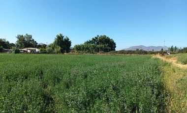 Agrícola en Venta en Luis Cruz Martínez / Camino El Noviciado