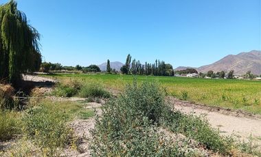 Agrícola en Venta en Luis Cruz Martínez / Camino El Noviciado