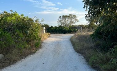 Departamentos Alba San Benito (Planta Alta)
