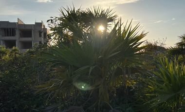 Departamentos Alba San Benito (Planta Alta)