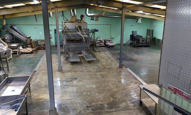 Local Industrial Exclusivo en Venta en Gamma Callao Zona Industrial