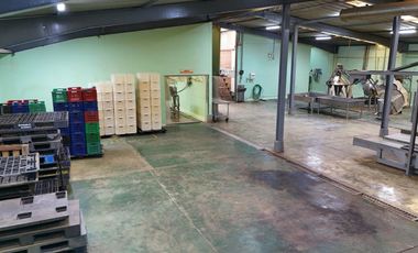 Local Industrial Exclusivo en Venta en Gamma Callao Zona Industrial
