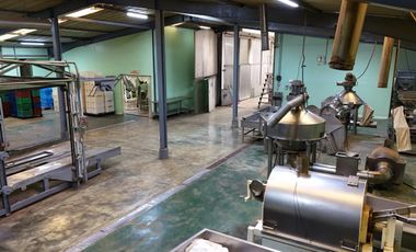 Local Industrial Exclusivo en Venta en Gamma Callao Zona Industrial