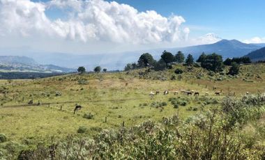 Finca en venta en Santo Tomas Ajusco