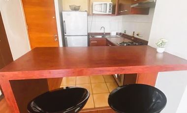 Departamento en Venta en Santiago Centro