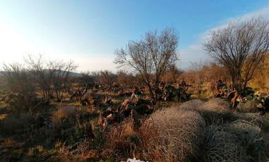 Sitio en Arriendo en HUECHUN
