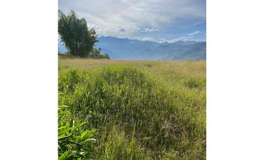 Finca productora en venta ubicada en Aránzazu Caldas