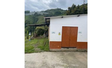 Finca productora en venta ubicada en Aránzazu Caldas