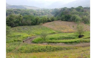 Venta de lote Bolonbolo Venecia