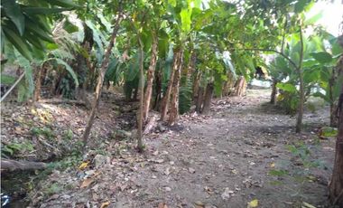 Venta de finca en parcelacion Turbaco