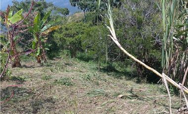 Venta de finca tradicional campesina en san Rafael antioquia