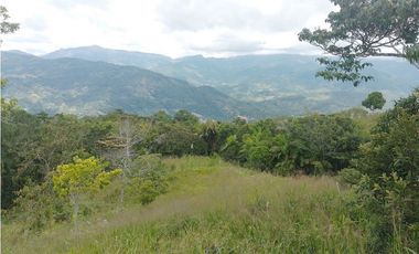 Venta de finca tradicional campesina en san Rafael antioquia