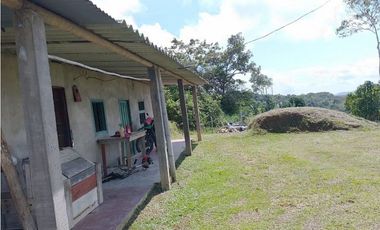 Venta de finca tradicional campesina en san Rafael antioquia