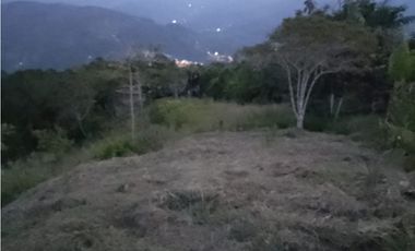 Venta de finca tradicional campesina en san Rafael antioquia