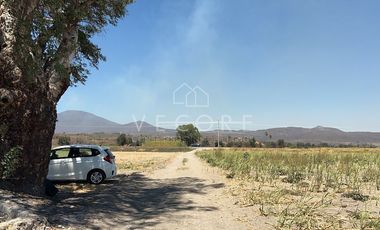 TERRENO EN VENTA, EL REFUGIO, TALA, JALISCO