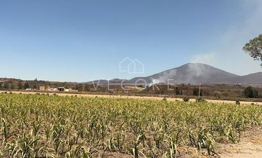 TERRENO EN VENTA, EL REFUGIO, TALA, JALISCO