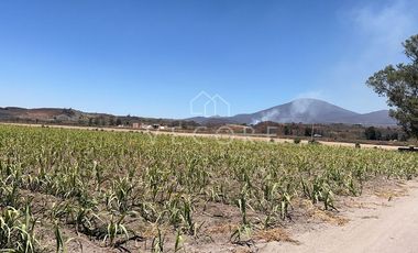 TERRENO EN VENTA, EL REFUGIO, TALA, JALISCO