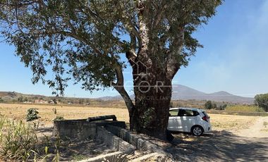 TERRENO EN VENTA, EL REFUGIO, TALA, JALISCO