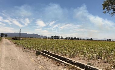 TERRENO EN VENTA, EL REFUGIO, TALA, JALISCO