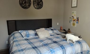 DEPARTAMENTO / EX HACIENDA EL PEDREGAL II  / VENTA