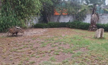 TERRENO EN RENTA IDEAL PARA TALLER O BODEGA